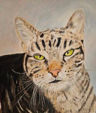 Original Contemporary Cats Paintings by Elissa Dorfman