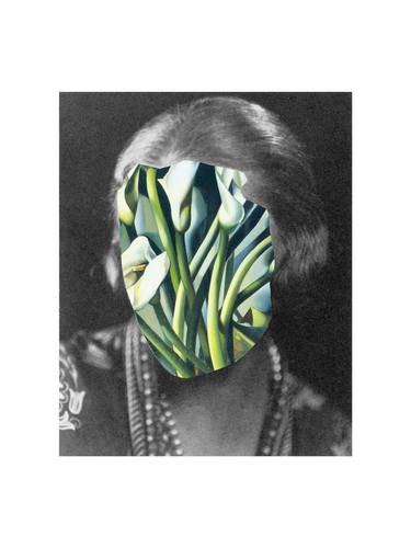 Original Pop Art Botanic Photography by Roberto Voorbij