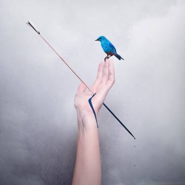 Original Conceptual Fantasy Photography by Luigi Quarta