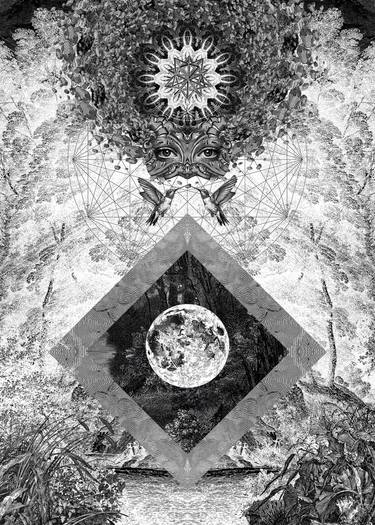 Original Black & White Nature Printmaking by Ladislav Hubert