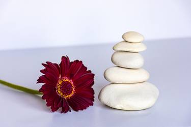 Original Minimalism Still Life Photography by Isilvia Olona