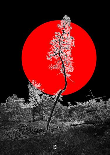 Original Minimalism Nature Mixed Media by Mattia Paoli