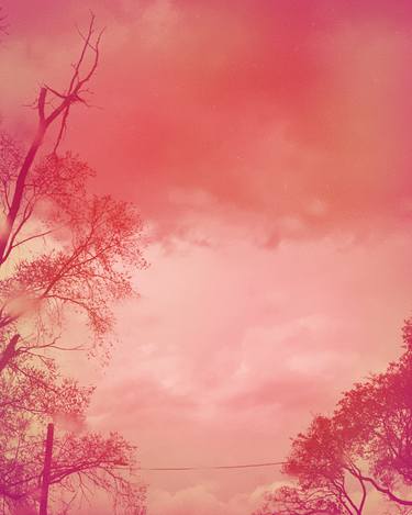 Original Contemporary Landscape Photography by Beth Chucker