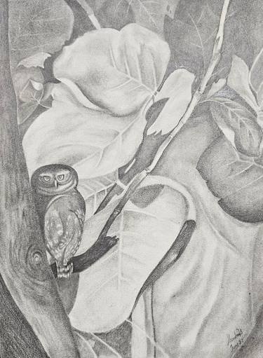 Original Black & White Nature Drawing by Shradha Shah