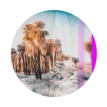 Original Contemporary Nature Photography by Fran Lamothe