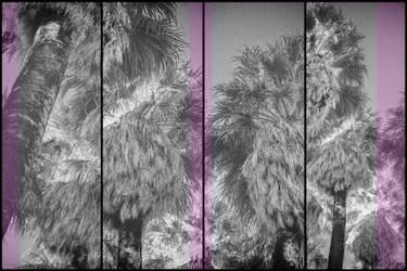 Original Fine Art Nature Photography by Fran Lamothe