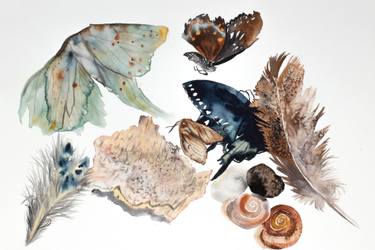 Original Figurative Nature Paintings by Elizabeth Becker