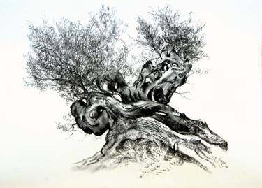 Original Figurative Tree Drawings by Nebojsa Ruzic Varda