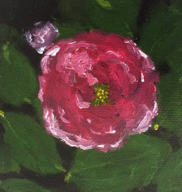 Print of Conceptual Botanic Paintings by Aase Birkhaug Ica