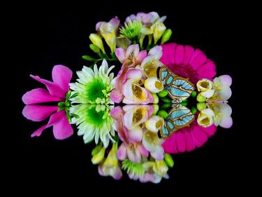 Original Surrealism Botanic Photography by Colleen Ayson