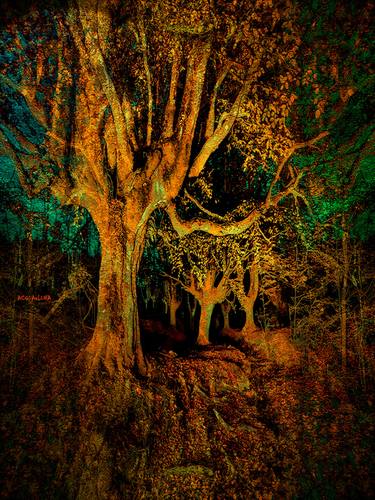 Original Fine Art Tree Photography by Acqua Luna