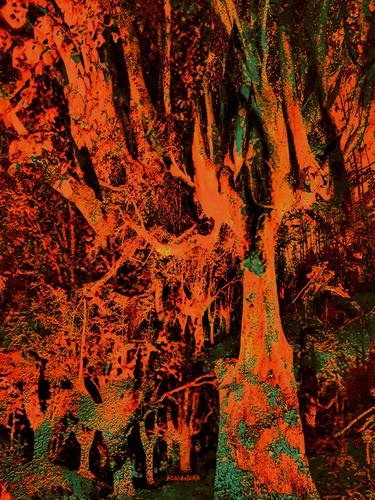 Original Surrealism Tree Mixed Media by Acqua Luna