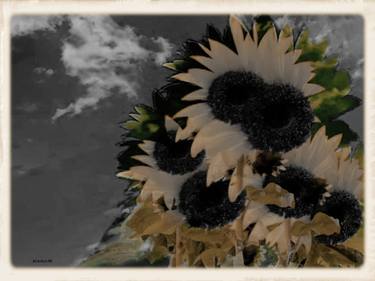 Original Art Deco Floral Mixed Media by Acqua Luna