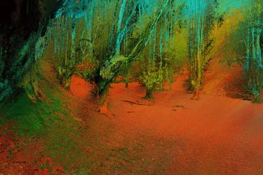 Original Fine Art Tree Photography by Acqua Luna