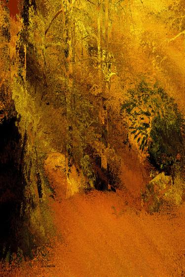 Original Expressionism Tree Photography by Acqua Luna