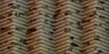 Original Conceptual Architecture Digital by Acqua Luna