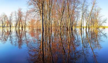 Original Contemporary Nature Photography by Janusz Wrobel