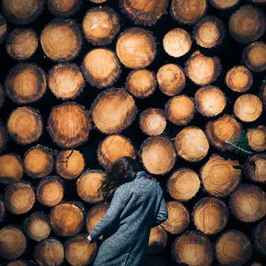 Original Conceptual Tree Photography by Emilie Möri