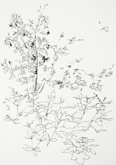 Original Figurative Tree Drawings by Saehyun Paik