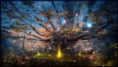 Original Photorealism Nature Digital by Rubins Leonard