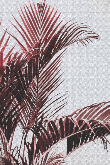 Original Abstract Botanic Photography by Mona Vayda