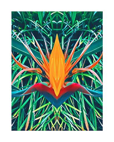 Original Algorithmic Botanic Photography by Sandra Roberts