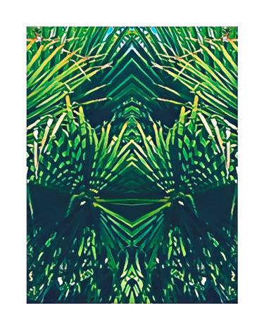 Original Contemporary Botanic Photography by Sandra Roberts