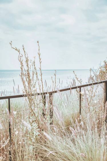 Original Contemporary Botanic Photography by Kristin Hart