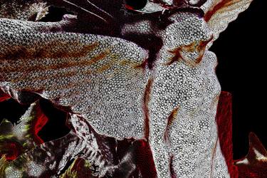 Original Abstract Mortality Digital by Jens Knappe