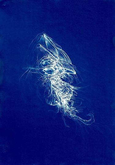 Original Expressionism Nature Printmaking by Michael Kerbiche