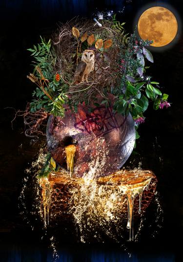 Original Conceptual Nature Photography by Christine Simpson