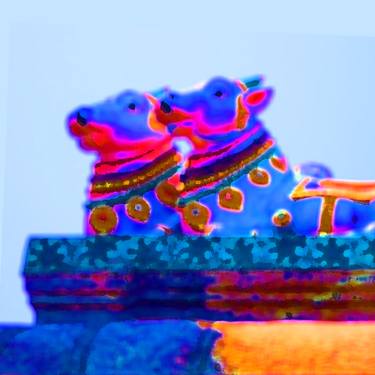 Original Abstract Cows Photography by Abi Fawcus
