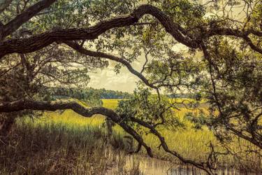 Original Conceptual Landscape Photography by Carla Royal