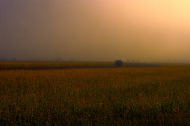 Original Dada Nature Photography by Dan Cristian Lavric