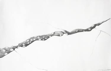 Original Fine Art Landscape Drawings by Marian Wihak