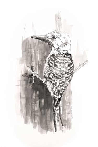 Original Illustration Animal Drawing by Tracy Lindner