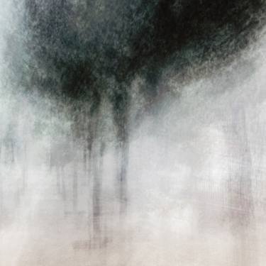 Original Abstract Expressionism Tree Photography by Alejandro López Lara