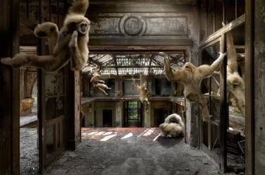 Original Romanticism Animal Photography by Cheraine Collette