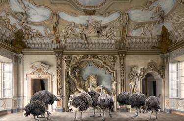 Original Surrealism Animal Photography by Cheraine Collette
