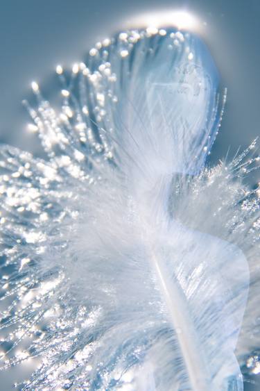 Original Conceptual Fantasy Photography by Cheraine Collette