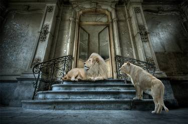 Original Fine Art Animal Photography by Cheraine Collette