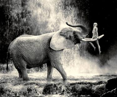 Original Figurative Nature Digital by Cheraine Collette