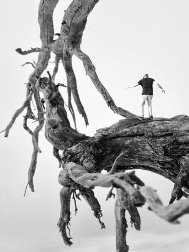Original Surrealism Landscape Photography by Ivana Vostrakova