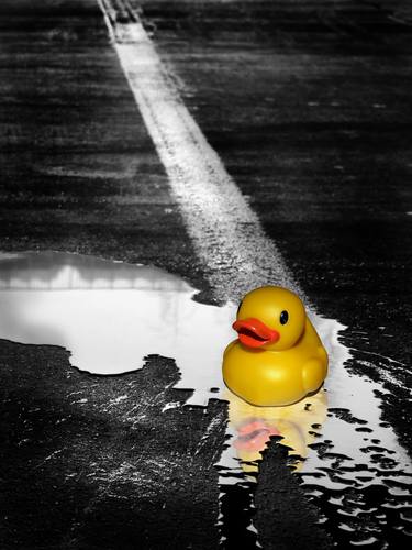 Original Fine Art Water Photography by Ivana Vostrakova