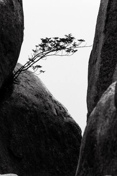 Original Fine Art Landscape Photography by Daniel Arnaldi