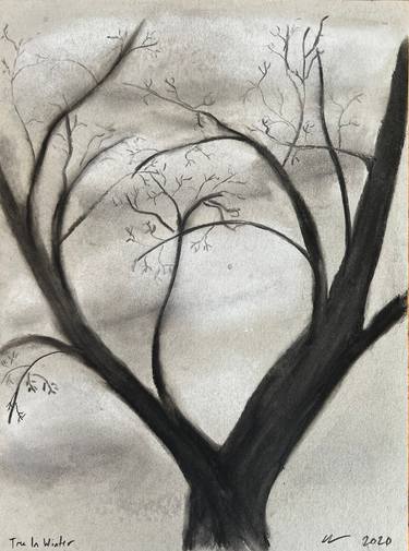 Original Impressionism Tree Drawings by Christy  Walsh