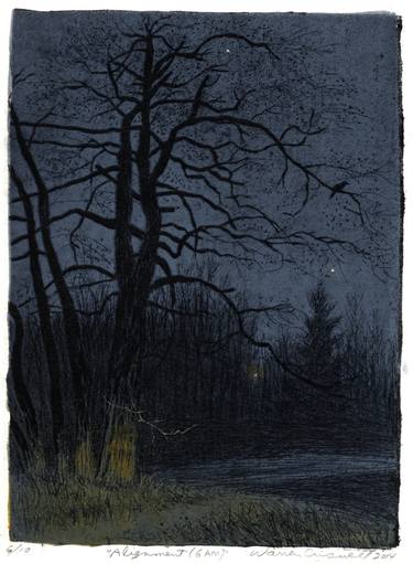 Original Fine Art Nature Printmaking by Warren Criswell