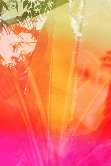 Original Abstract Floral Photography by Eszter Papp