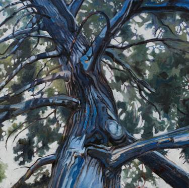 Original Contemporary Nature Painting by Sharon Feder