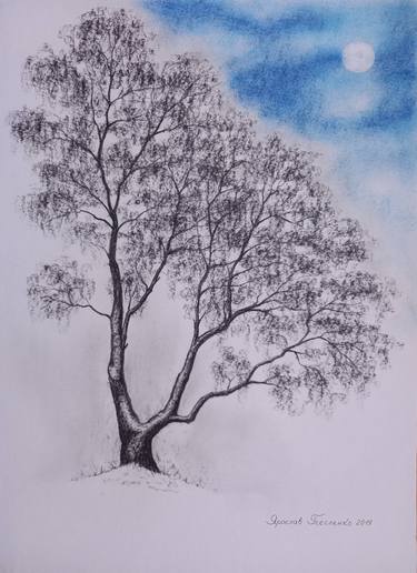 Original Realism Tree Drawings by Yaroslav Teslenko